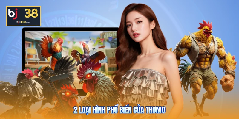 Trực Tiếp Đá Gà Thomo Hôm Nay - Gay Cấn Đến Phút Cuối 4 2 loại hình phổ biến của Thomo