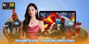 Cách Chăm Sóc Gà Đá - 3 Bí Quyết Đúc Chiến Kê Vô Địch