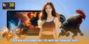 Cách Xem Đá Gà Thomo Trực Tiếp Mượt Mà, Chuẩn Xác 2026