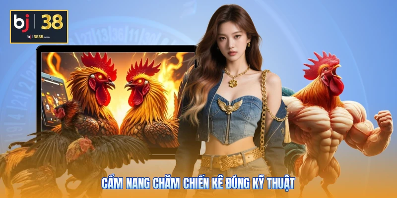 Cẩm nang chăm chiến kê đúng kỹ thuật