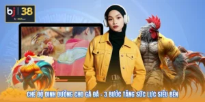 Chế Độ Dinh Dưỡng Cho Gà Đá - 3 Bước Tăng Sức Lực Siêu Bền