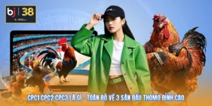 CPC1 CPC2 CPC3 Là Gì - Toàn Bộ Về 3 Sàn Đấu Thomo Đỉnh Cao