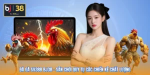 Đá Gà SV388 BJ38 - Sân Chơi Quy Tụ Các Chiến Kê Chất Lượng