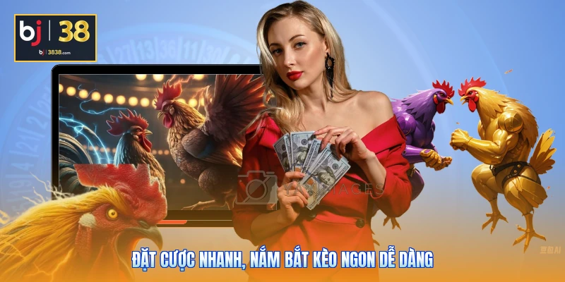 Trang Chủ BJ3838 13 Đặt cược nhanh, nắm bắt kèo ngon dễ dàng