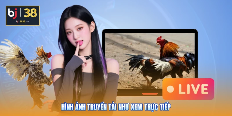 Hình ảnh truyền tải như xem trực tiếp
