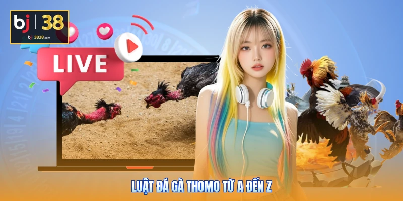 Luật Đá Gà Thomo - Cẩm Nang Toàn Diện Dành Cho Sư Kê 2 Luật đá gà Thomo từ A đến Z