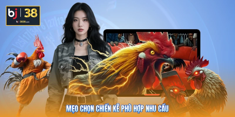 Mẹo chọn chiến kê phù hợp nhu cầu