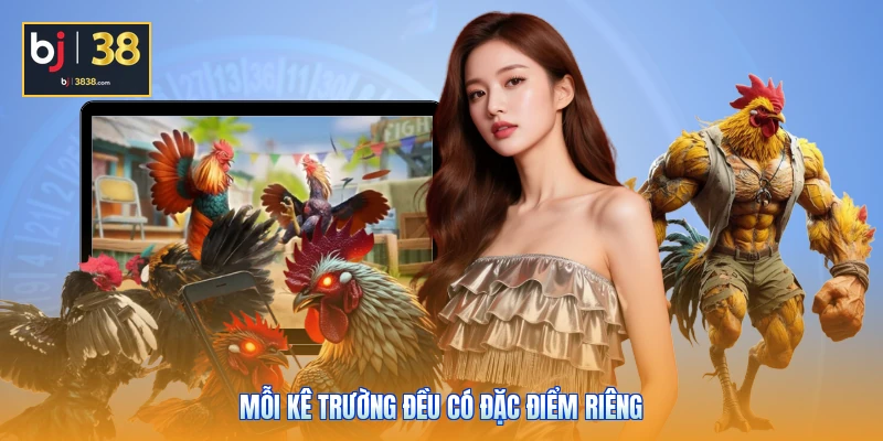 CPC1 CPC2 CPC3 Là Gì - Toàn Bộ Về 3 Sàn Đấu Thomo Đỉnh Cao 3 Mỗi kê trường đều có đặc điểm riêng