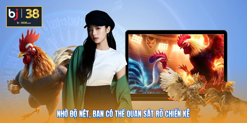 Đá Gà GA28 BJ38 - Các Kỹ Thuật Đọc Kèo & Soi Cựa Đỉnh Cao 4 Nhờ độ nét, bạn có thể quan sát rõ chiến kê
