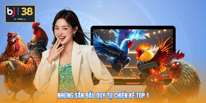 Trực Tiếp Đá Gà Thomo Hôm Nay - Gay Cấn Đến Phút Cuối 3 Những sàn đấu quy tụ chiến kê top 1
