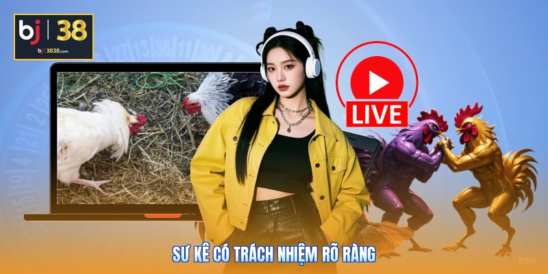 Luật Đá Gà Thomo - Cẩm Nang Toàn Diện Dành Cho Sư Kê 4 Sư kê có trách nhiệm rõ ràng