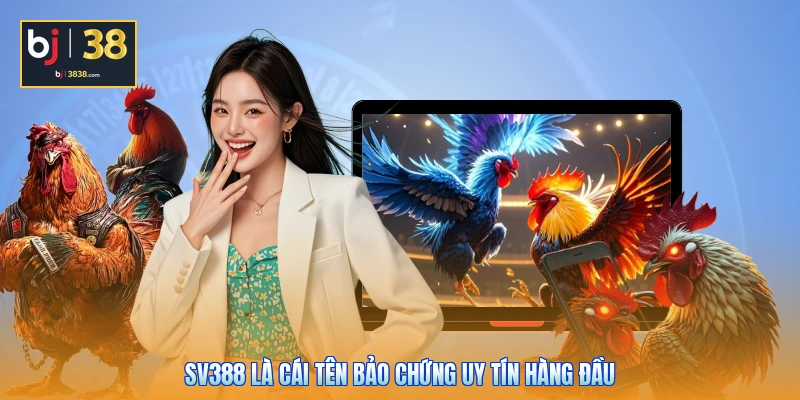 SV388 là cái tên bảo chứng uy tín hàng đầu