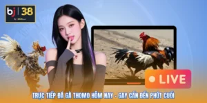 Trực Tiếp Đá Gà Thomo Hôm Nay - Gay Cấn Đến Phút Cuối