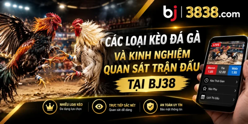 Các Loại Kèo Đá Gà - Kinh Nghiệm Quan Sát Trận Đấu Tại BJ38 2 Các loại kèo đá gà