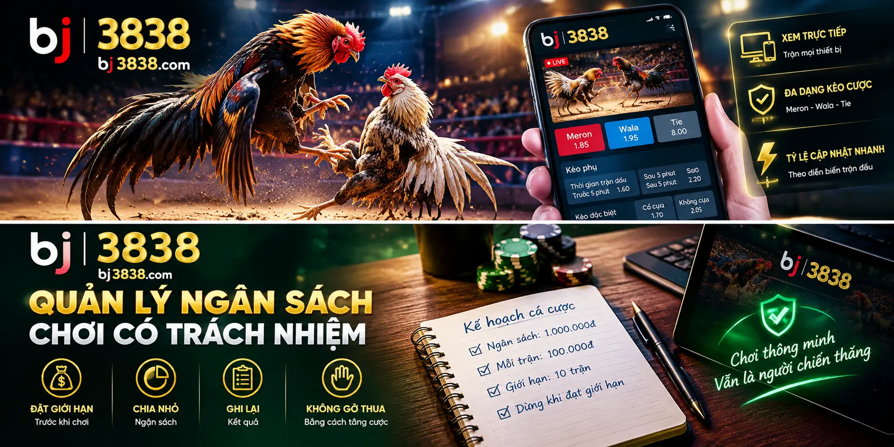 Các Loại Kèo Đá Gà - Kinh Nghiệm Quan Sát Trận Đấu Tại BJ38 4 Kinh nghiệm quản lý ngân sách