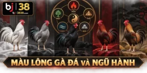 Năm nhóm màu lông thường được liên hệ với Kim, Mộc, Thủy, Hỏa và Thổ