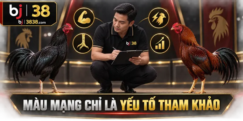 Màu Lông Gà Đá Và Ngũ Hành – Bí Quyết Từ Sư Kê BJ38 4 Thể trạng, chân cựa, phản xạ và phong độ vẫn là những dữ liệu quan trọng hơn màu mạng